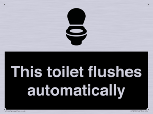 This toilet flushes automatically